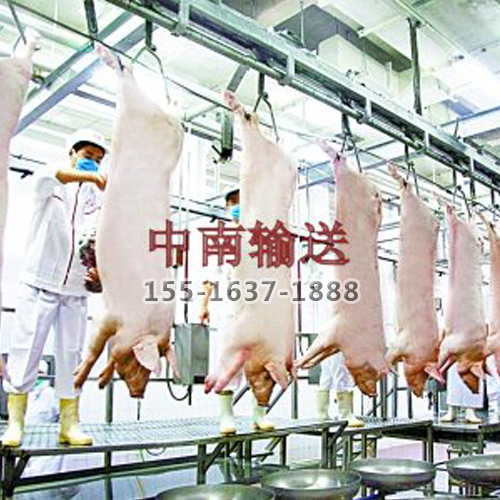 屠宰生產(chǎn)線(xiàn) 屠宰生產(chǎn)線(xiàn)