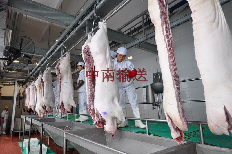 管軌屠宰生產(chǎn)線(xiàn)成套設備